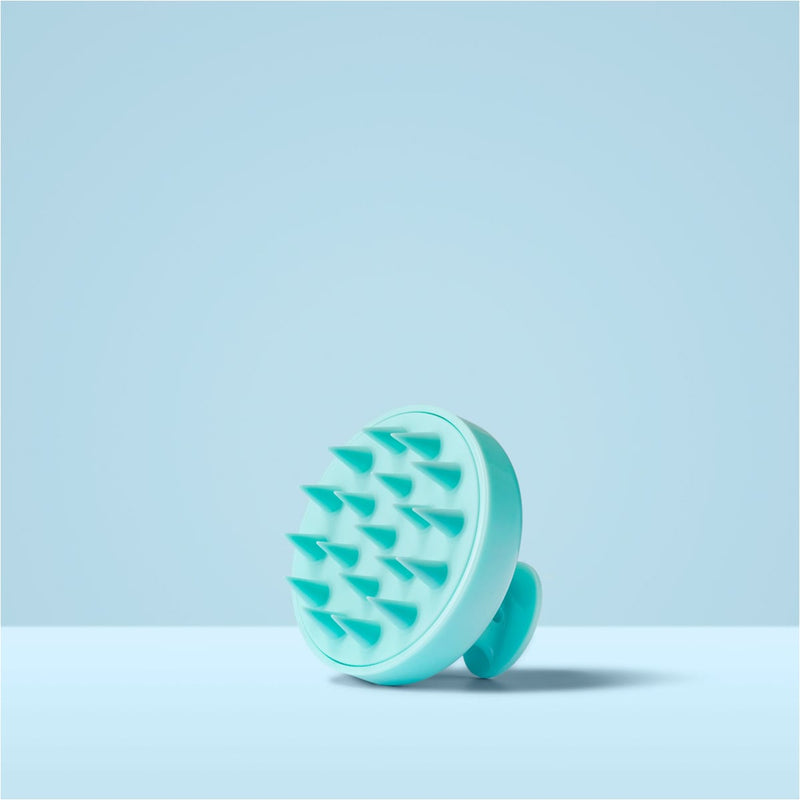 Hairburst Scalp Stimulating Massage Brush, Handheld Exfoliating Scalp Massager