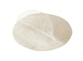 Neogen Re:P Organic Cotton Treatment Toning Pads with Herbal Water