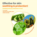 Derma:B Everyday Mild Sunscreen Cream SPF50+ PA++++ Zinc Oxide 50ml