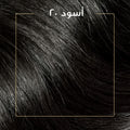 Wella Koleston Hair Color Cream Kit Natural Black 2/0