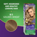 Koleston Naturals Hair Color Cream Golden Wheat 8/1 Semi-Kit