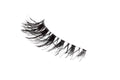 Glitz Lashes Butterfly Natural Hair Reusable False Eyelashes