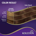 Koleston Hair Color Creme Dark Blonde 306/0 with Developer and Oil Replacement Treatment