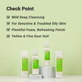 Real Barrier Control-T Cleansing Foam Sebum-Control Facial Cleanser 190ml