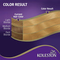 Wella Koleston Platinum Blonde Hair Color Creme with Developer 310/0