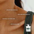 Advanced Clinicals Collagen Body Cream, Fragrance-Free, with Green Tea Aloe Vera and Chamomile