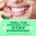 Closeup Triple Fresh Gel Toothpaste Menthol Flavor Zinc Formula 120 ml