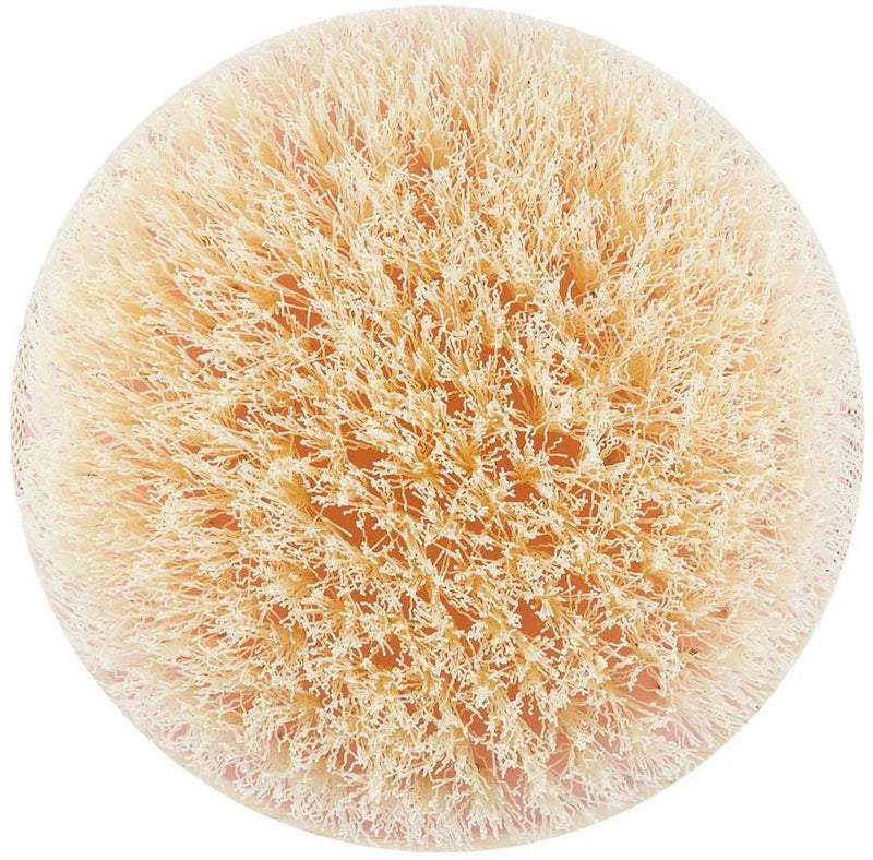 EcoTools Dry Body Brush Synthetic Bristles Bamboo Handle 1 Count