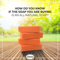 Pyary Herbal Papaya Soap Bar Brightening Ginger and Olive Oil 75 g