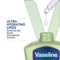 Vaseline Intensive Care Aloe Soothe Body Lotion Moisturizer with Aloe Vera 200ml