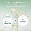SKIN1004 Madagascar Centella Tea-Trica BHA Foaming Face Cleanser Salicylic Acid 125 ml