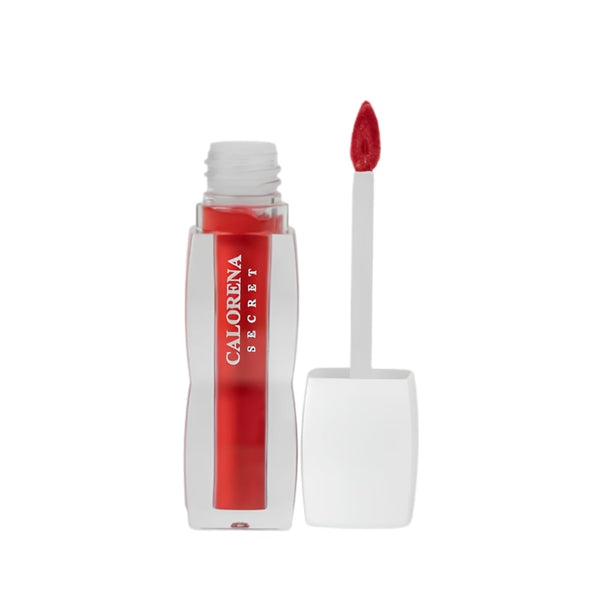 Carolina Matte Liquid Lipstick Rich Color Shade 14