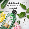 Herbal Essences Aloe Vera & Avocado Shampoo Moisturizing Formula Curly Hair 400ml