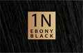 Color & Soin Hair Color 1N Ebony Black Permanent Dye Kit, 135 ml