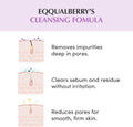 Equal Berry Purple Rice Pore Cleanser 2-in-1 Wash-Off Mask 130g