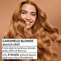 Garnier Color Naturals Permanent Hair Colour Chestnut Blonde 6.31