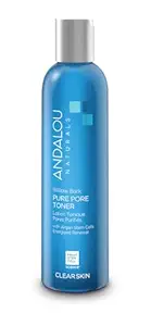 Andalou Naturals Aloe Willow Bark Pore Minimizer Toner Liquid 6 oz