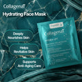 Collegenat Hydra-Lift Disposable Moisturising Face Mask Sheet, 15 ml