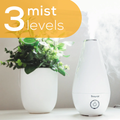 Beurer LB 37 Aroma Diffuser and Air Humidifier, Ultrasonic Cool Mist, Sleep Mode