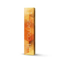 Lakme Collage Clear Hair Dye Super Blue Ash Blonde 12/17 Soybean Complex OF5 Technology