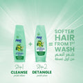Pert Plus Olive Oil Shampoo for Dyed, Dry and Damaged Hair 400 ml
