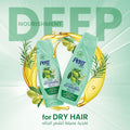 Pert Plus Olive Oil Shampoo for Dyed, Dry and Damaged Hair 400 ml