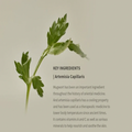 Beauty Of Joseon Matte Sun Stick SPF 50+ Mugwort + Camelia Face & Body