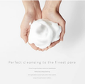 Lagom Cellup Micro Foam Cleanser Foaming Facial Wash Citrus Herbal 30ml