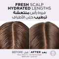 L'Oreal Paris Elvive Hyaluron Pure Purifying Shampoo for Oily Hair 200ml