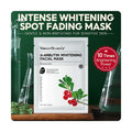 Vibrant Glamour Alpha Arbutin Brightening Hydrating Sheet Mask, 25 ml