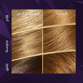 Wella Koleston Oil Cream Hair Dye 7/3 Hazelnut Blonde