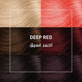 Alfaparf Revolution Temporary Hair Dye Deep Red Ammonia-Free Natural Oils 90ml