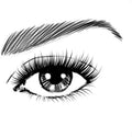 L'Oreal Paris Mega Volume Collagen Mascara Extra Black, Volumizing Liquid Formula