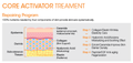Dermarssance+ Core Activator Liquid Ampoules Collagen Hyaluron Ceramide Peptide EGF 20 Pieces