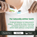 Alodent Charcoal Gel Toothpaste Aloe Vera Fluoride-Free 100ml