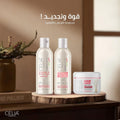 Celia Cloves & Aloe Vera Hydrating Shampoo, Silicone-Free, 500 ml