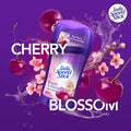 Lady Speed Stick Cherry Blossom Antiperspirant Deodorant Stick Alcohol-Free 65g