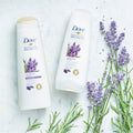 Dove Thickening Ritual Shampoo Lavender Oil Volumizing Formula 400 ml