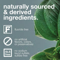 Davids Premium Peppermint Toothpaste Fluoride-Free SLS-Free 149 g