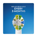 Oral-B Precision Clean Battery Toothbrush, Round Brush Head, 2 AA Batteries Included