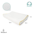 Moon Organic Toddler Pillow, White Organic Cotton Cover, Hypoallergenic Down Alternative Fill