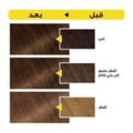 Garnier Olia Permanent Hair Color 7.31 Almond No Ammonia 60% Oils