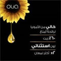 Garnier Olia Permanent Hair Color 7.31 Almond No Ammonia 60% Oils