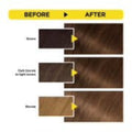 Garnier Olia Permanent Hair Color 7.31 Almond No Ammonia 60% Oils
