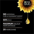 Garnier Olia Permanent Hair Color 7.31 Almond No Ammonia 60% Oils