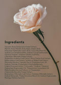 Aromatica Reviving Rose Infusion Cream Cleanser, Hydrating Vegan Facial Wash