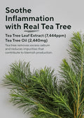 Aromatica Tea Tree Balancing Foaming Cleanser Liquid Face Wash