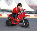 Peg Perego Ducati Desmosedici Evo Electric Motorcycle with Lights, Sounds and MP3 Port