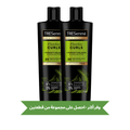 TRESemme Flawless Curls Shampoo Liquid Porosity Balance Shea Butter 350ml Twin Pack