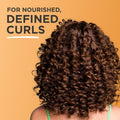 Hair Food Mango & Aloe Curl Detangling Spray, Frizz-Control Hair Care, 255ml
